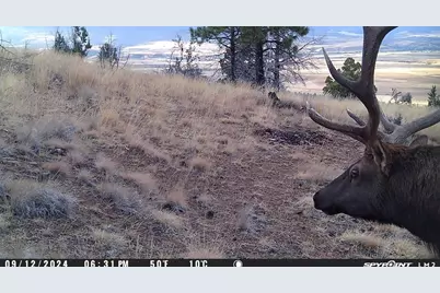 Fs Road 613, John Day, OR 97845 - Photo 1