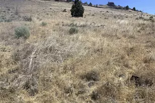SE Hill St, Prineville, OR 97754 - Photo 1