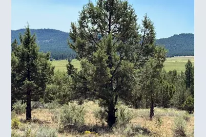 Skamania Street #8, Chiloquin, OR 97624 - Photo 1