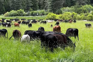 Usfs 36 Rd, Mount Vernon, OR 97865 - Photo 1