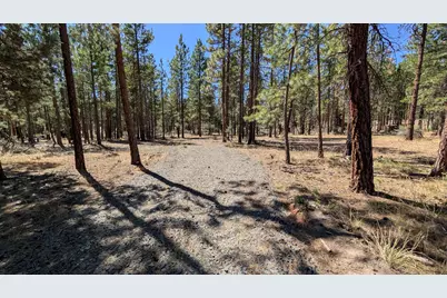 Mina Bird Drive #41, Bonanza, OR 97623 - Photo 1