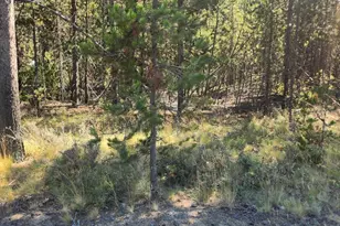 17257 Downey Rd, Bend, OR 97707 - Photo 1