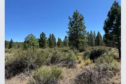 Bufflehead Drive #18, Bonanza, OR 97623 - Photo 1