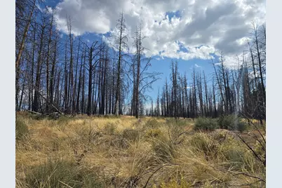 Valley Oak Lane, Bly, OR 97622 - Photo 1