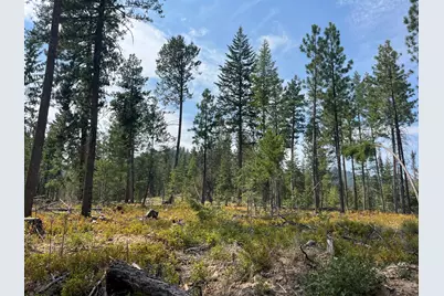 Usfs 112, Fox, OR 97845 - Photo 1