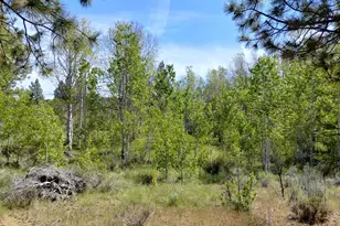 0 Forest View Dr, Chiloquin, OR 97624 - Photo 1