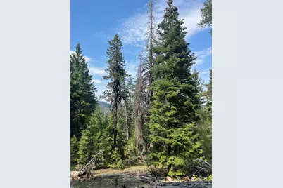 Usfs 112, Mount Vernon, OR 97865 - Photo 1