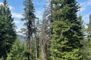 Usfs 112, Mount Vernon, OR 97865 - Photo 1