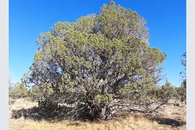 Se Tillamook Loop, Prineville, OR 97754 - Photo 1