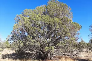 SE Tillamook Loop, Prineville, OR 97754 - Photo 1