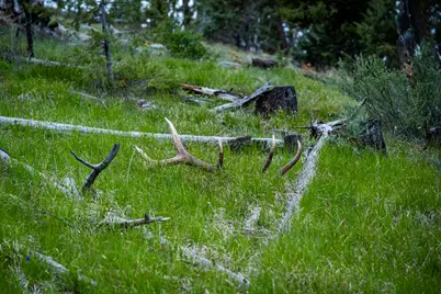 52960 Cummings Creek Road, Mount Vernon, OR 97865 - Photo 1