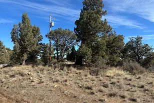 SE Renegade Loop, Prineville, OR 97754 - Photo 1