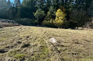 1200 McMullen Creek Rd, Selma, OR 97538 - Photo 1