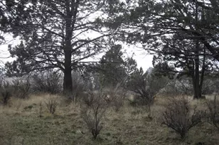 Drews Rd, Sprague River, OR 97639 - Photo 1