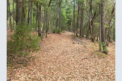 614 Thornbrook Drive, Merlin, OR 97532 - Photo 1