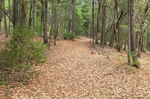 614 Thornbrook Dr, Merlin, OR 97532 - Photo 1