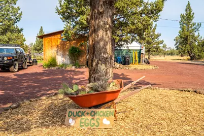 6356 SW Ferret Road, Terrebonne, OR 97760 - Photo 1