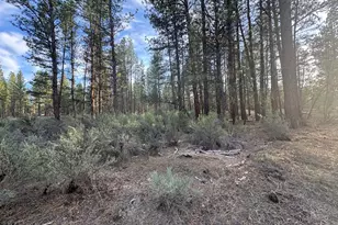 0 Silver Fox Ln, Sprague River, OR 97639 - Photo 1