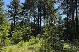 1522 Bridge Ln, Wolf Creek, OR 97497 - Photo 1