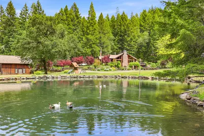 985 Elliott Creek Road, Wilderville, OR 97543 - Photo 1