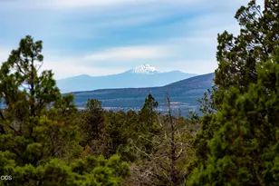 10388 Ridgeview Rd, Prineville, OR 97754 - Photo 1