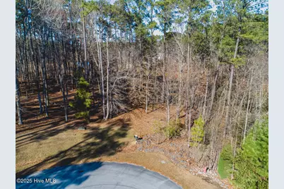 220 Golden Fern Lane, Minnesott Beach, NC 28510 - Photo 3