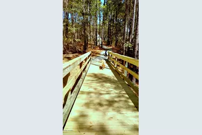 220 Golden Fern Lane, Minnesott Beach, NC 28510 - Photo 11