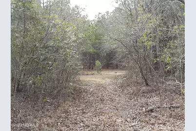D08-66 John Pollock Road, Grantsboro, NC 28529 - Photo 7
