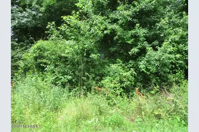 0 Old Mintz Highway, Garland, NC 28441 - Photo 3