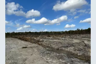 0 Ahoskie Cofield Road, Ahoskie, NC 27910 - Photo 11