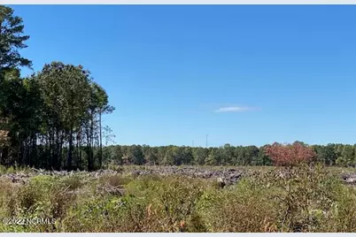 0 Ahoskie Cofield Road, Ahoskie, NC 27910 - Photo 1