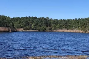 123 Dowry Creek E, Belhaven, NC 27810 - Photo 1