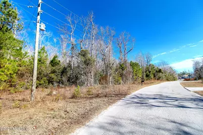 37.76 Ocean Isle Beach Road, Ocean Isle Beach, NC 28469 - Photo 3