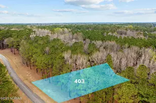 403 ANNA Ln, Snow Hill, NC 28580 - Photo 1