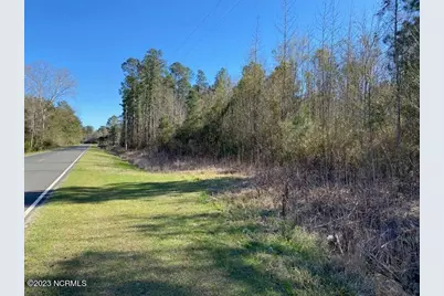Tbd Wright Road, Tabor City, NC 28463 - Photo 15