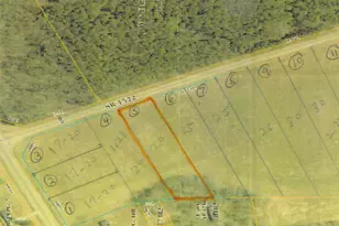 Tbd Eagletown Rd, Rich Square, NC 27869 - Photo 1