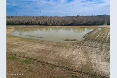 24 Acres White Oak River Road, Maysville, NC 28555 - Photo 13