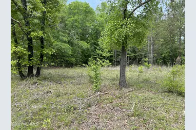 0 E Marney Drive, Burgaw, NC 28425 - Photo 5