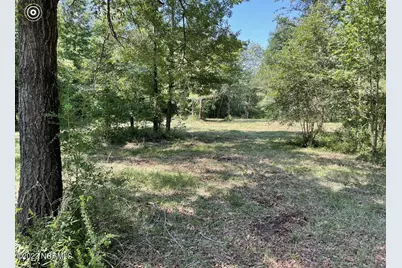0 E Marney Drive, Burgaw, NC 28425 - Photo 7