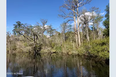 19 Old Airport Road, New Bern, NC 28562 - Photo 3