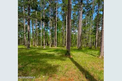 52 Corolla Loop Road, Arapahoe, NC 28510 - Photo 3