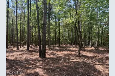 Lot 1 Port Drive, Oriental, NC 28571 - Photo 37