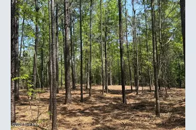Lot 1 Port Drive, Oriental, NC 28571 - Photo 31