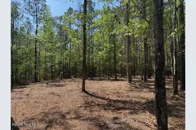 Lot 1 Port Drive, Oriental, NC 28571 - Photo 39