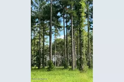 96 278 Dawson Creek Blvd, Oriental, NC 28571 - Photo 1