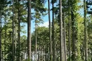 96 278 Dawson Creek Blvd, Oriental, NC 28571 - Photo 1