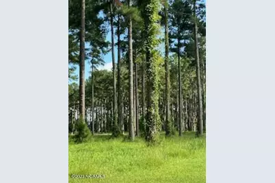 95 147 Dawson Creek Blvd, Oriental, NC 28571 - Photo 5