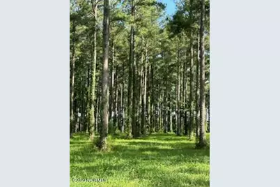 95 147 Dawson Creek Blvd, Oriental, NC 28571 - Photo 1