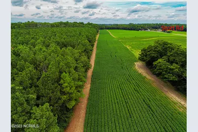 000 S Nc 581 Highway, Bailey, NC 27807 - Photo 11