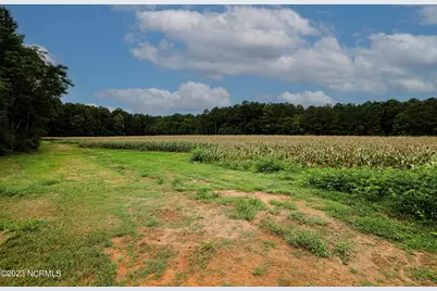 000 S Nc 581 Highway, Bailey, NC 27807 - Photo 41